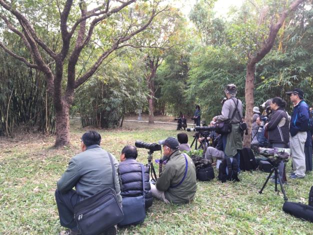圖5、民眾在鳥巢前安靜的等待