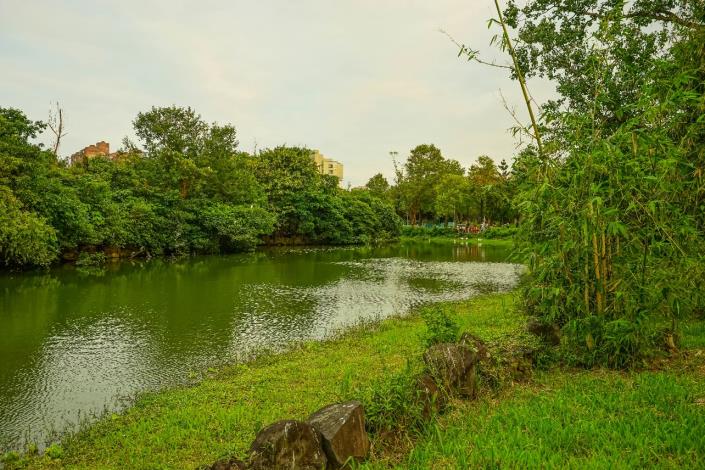 圖1、大安森林公園大生態池一景