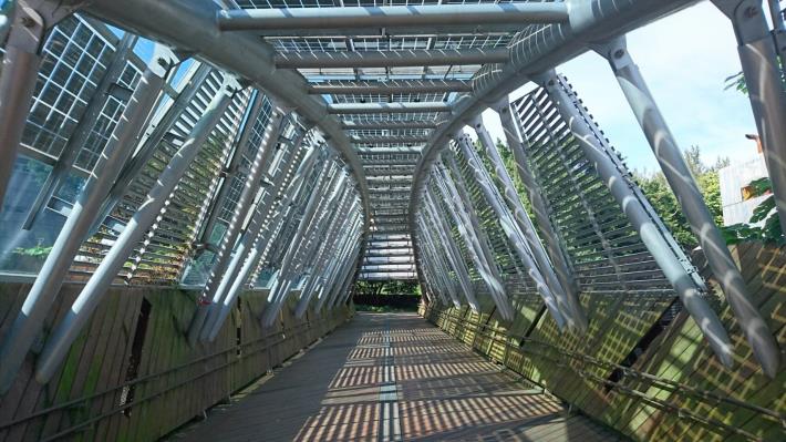 圖7、展現力與美的太陽橋。