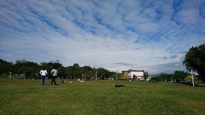 圖9、上看藍天平躺綠地，廣大腹地的圓山園區。