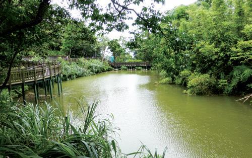 圖12  大崙湖