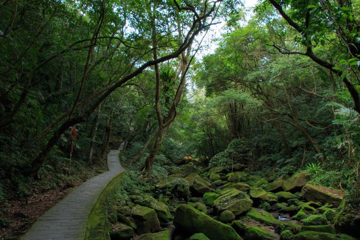 大溝溪沿岸原始林相風景優美