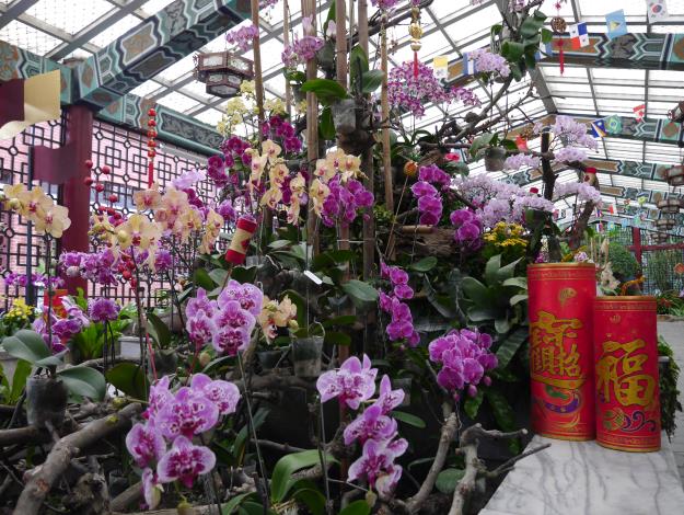 圖1.農曆大年初一於士林官邸新蘭亭展出的「春節花卉展」