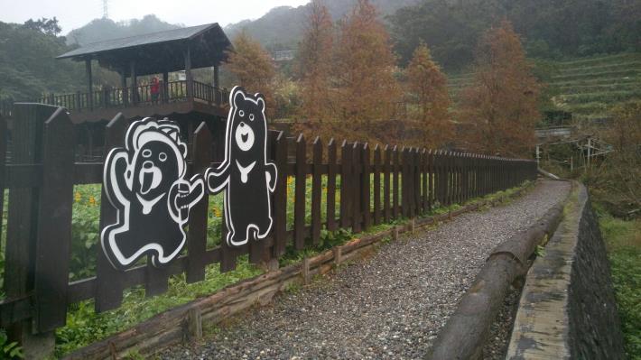 樟樹步道魯冰花田