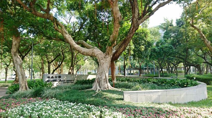 圖1、林森康樂公園以草花及複層植栽點綴，綠意盎然、花團錦簇