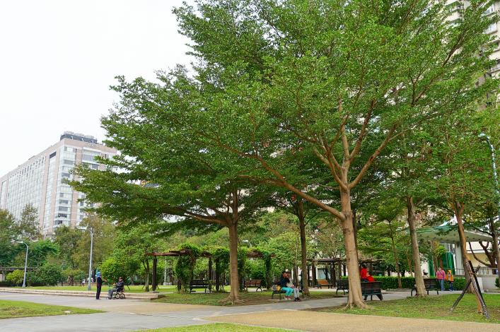 圖2、林森公園提供綠意滿滿的遊憩場所，讓人充飽滿滿的生命力