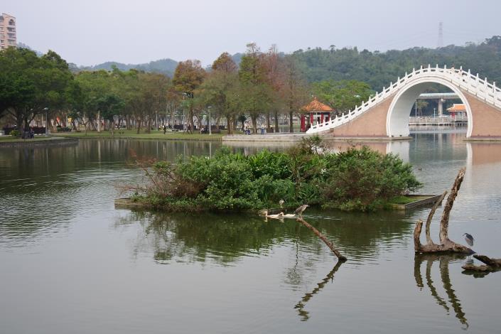 圖6.大湖公園生態浮島設計，增加生物藏覓空間