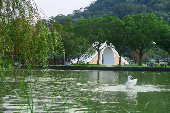 圖7.大湖公園生物棲息照片