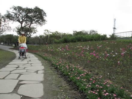 (圖3)親子同遊共賞花海