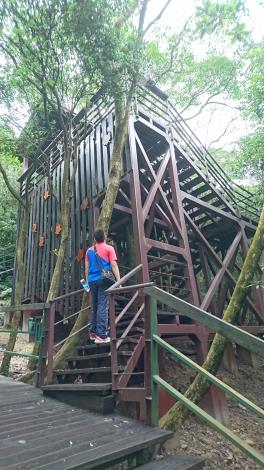 爬上「樹之亭」大口森呼吸