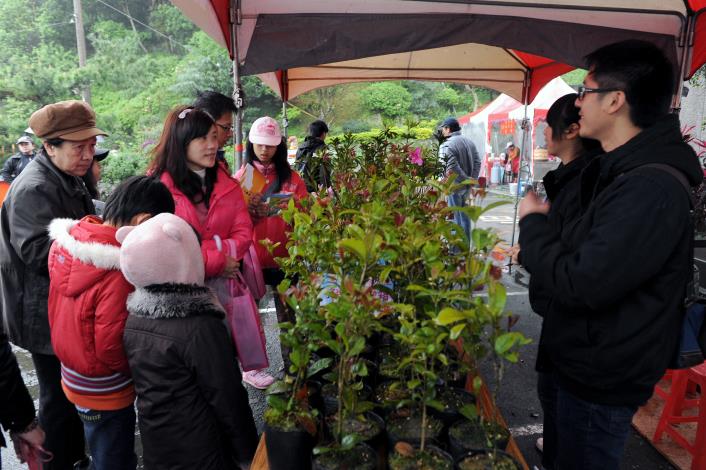 完成特定關卡可獲得綠美化苗木