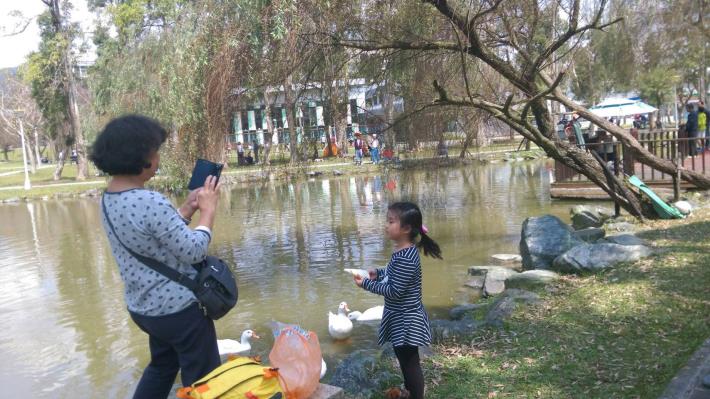 圖八請勿在公園內餵食禽鳥，將依公園管理自治條例開罰
