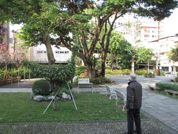 (圖6) 公園大型綠雕需長時間養成