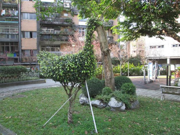 (圖7)來龍陣二號公園看鴕鳥孵蛋不用去動物園了！