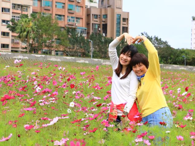 8歡迎民眾來河濱賞花、拍照，留下美好紀念。