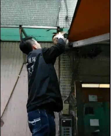 北市動保處即刻救援受困貓隻