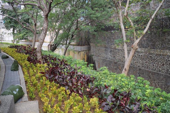 圖4.七星公園角落邊緣綠美化2