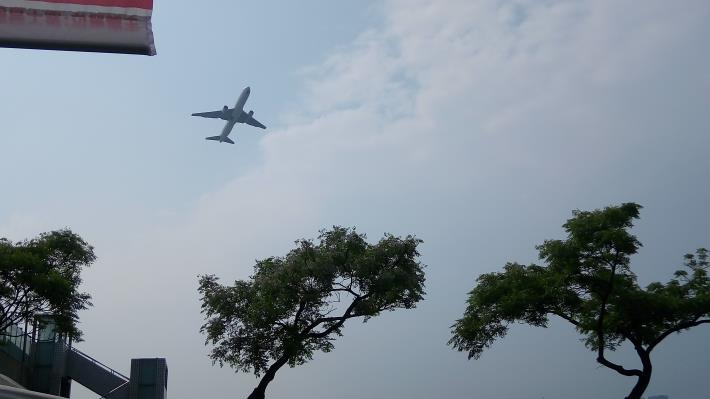 圖5.飛機與楝花的交會