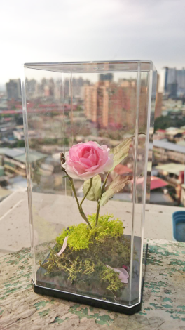 蓪草製作仿真花作品（梁貴梅提供）