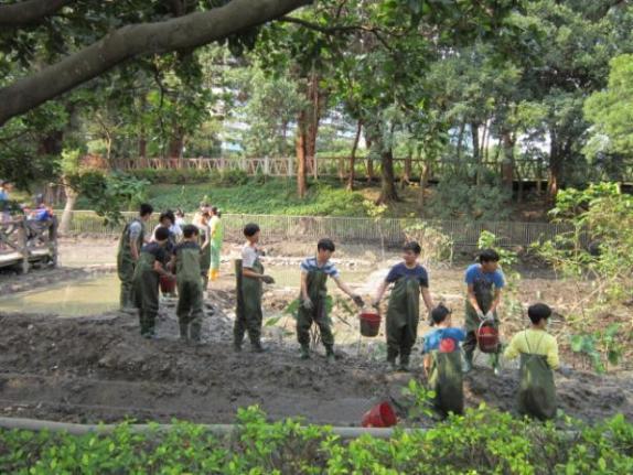 志工們挽起衣袖，汗流浹背，穿上青蛙裝辛勤復育榮星花園公園生態池
