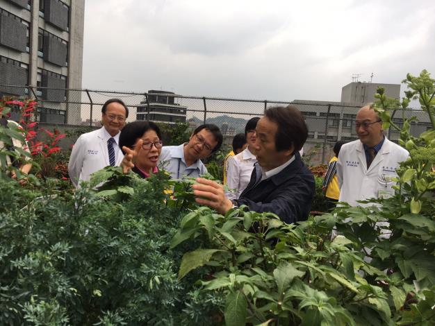 萬芳農園綠屋頂1