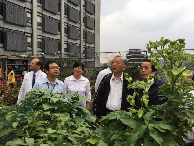 萬芳農園綠屋頂3