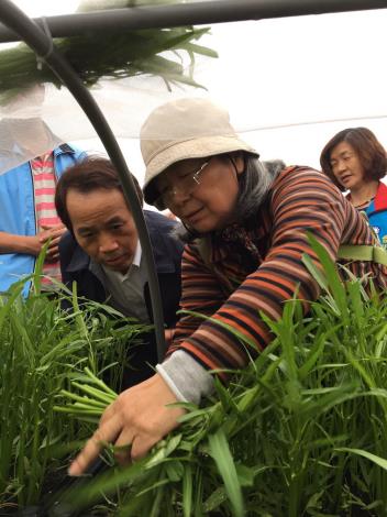 古亭地政事務所綠屋頂3