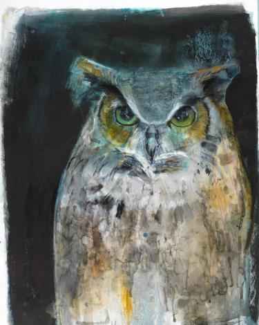 圖4. Russ Ronat作品凝視的貓頭鷹(Owl Looking)