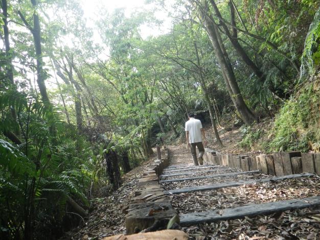 自然步道-木屑鋪面