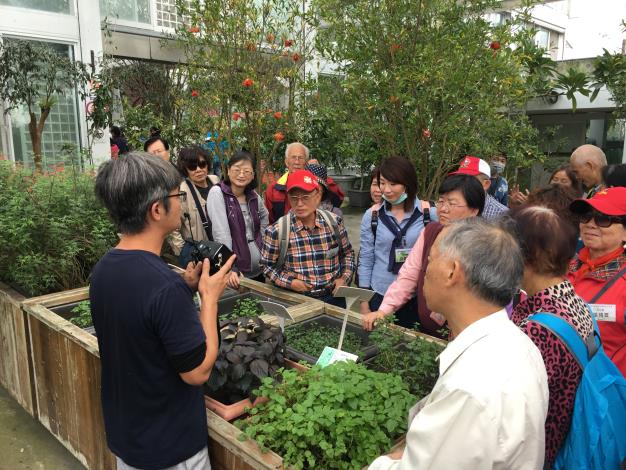 圖4.香草植物介紹