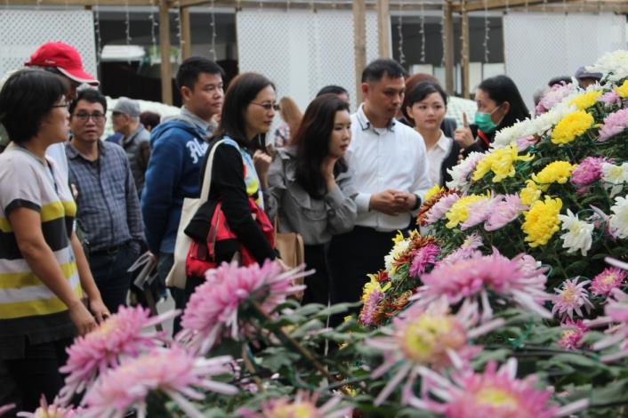 圖3. 韓國代表Hae ri Park專心聽著大立菊栽培的解說