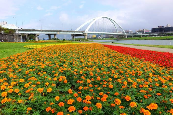 107年臺北市觀山河濱花海