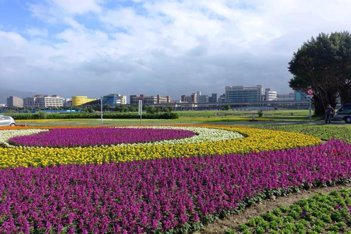 107年臺北市觀山河濱花海 勾勒活潑鮮明的曲線色塊