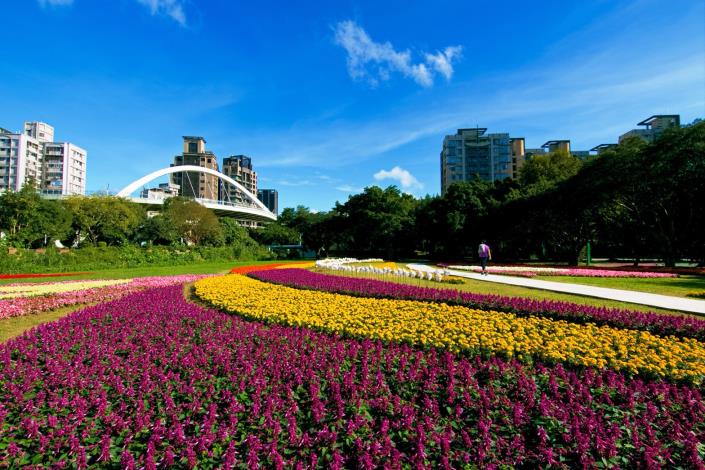 107古亭福和河濱花海  在古亭河濱公園客家園區跨堤平台下方綠地