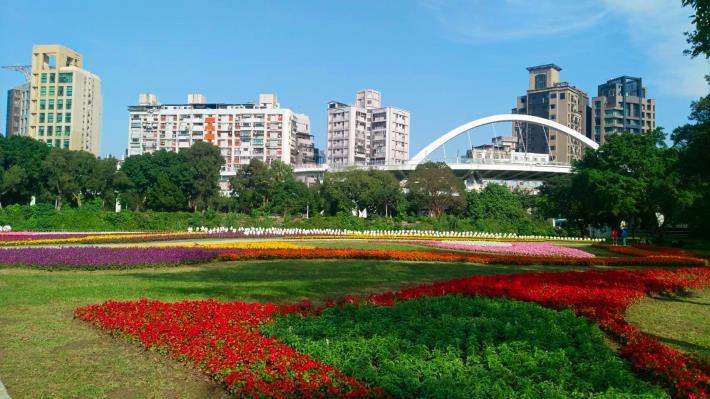 107古亭福和河濱花海 媲美荷蘭庫肯霍夫花園  古亭福和河濱花海浪漫綻放中