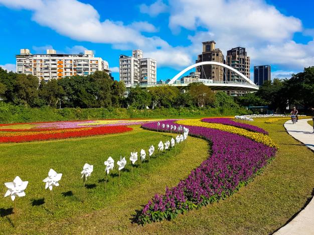 107古亭河濱花海 賞花不必大老遠飛去國外