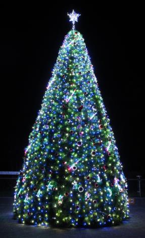 夜晚點上燈光的聖誕樹非常的溫馨浪漫