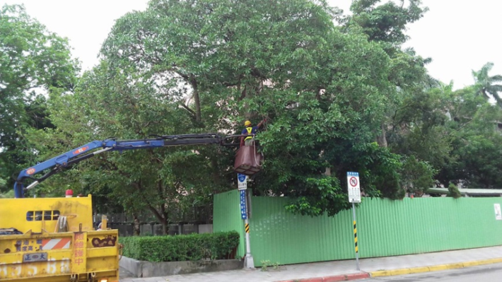 高空作業車執行樹木修剪任務