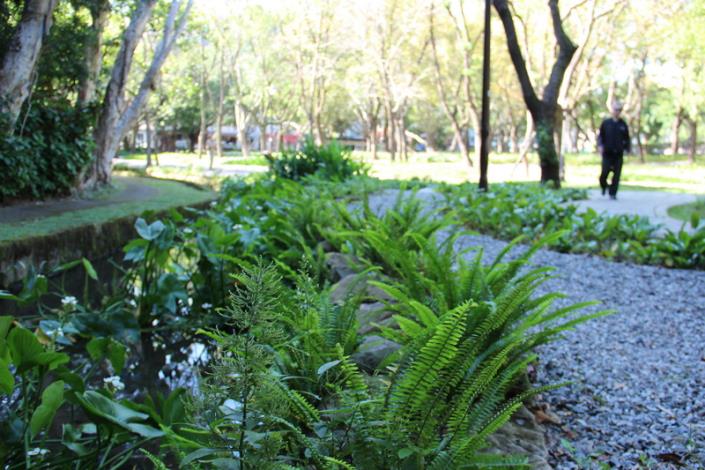 照片4：天和公園-整理修復後的玉潮坑溪極具豐富生態