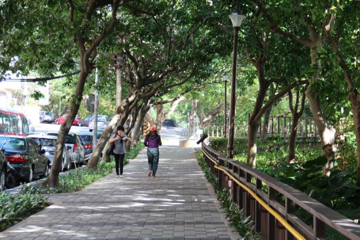 照片9：東和公園-更新後提供更寬敞安全的樹蔭透水鋪面人行道