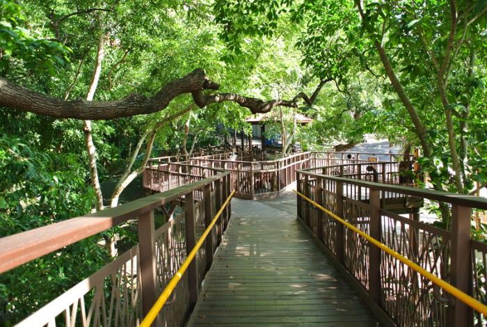 照片13：東和公園-樹林中串聯三區域遊戲場的全齡棧道