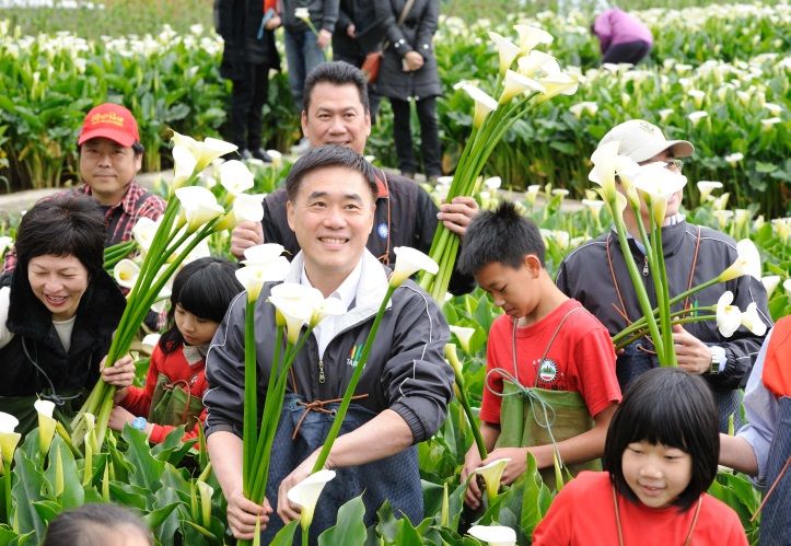 2014海芋季開幕活動活動