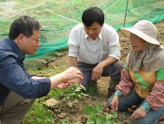 技術團隊實地輔導農戶