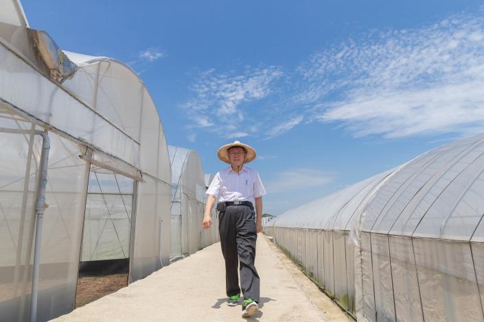 圖1、柯市長參訪菜根香有機農場_有機蔬菜溫網室栽培。