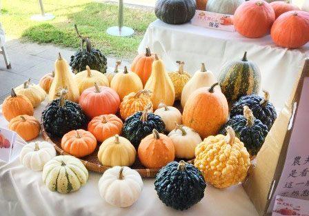 臺北市政府產業發展局 新聞稿 金夏南瓜饗宴與您相約在臺北花博農民市集