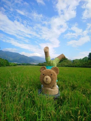「熊愛關渡」為主題，精心打造了6座巨大可愛稻草熊地景藝術作品 (2)