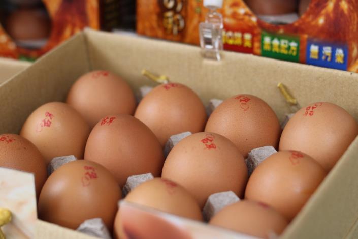 彰化週人道飼養的健康雞蛋