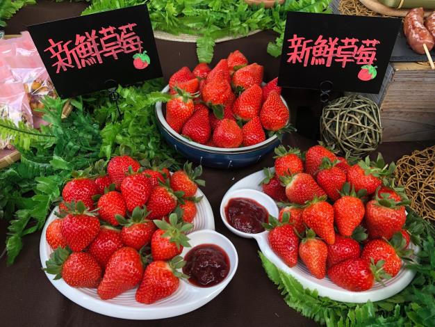 草莓已成為內湖白石湖社區的地方特色 (2)