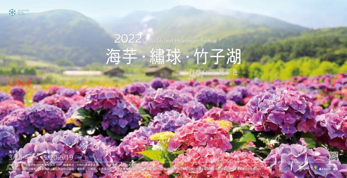 2022竹子湖繡球花季將於520登場(圖片來源_北投區農會) (1)