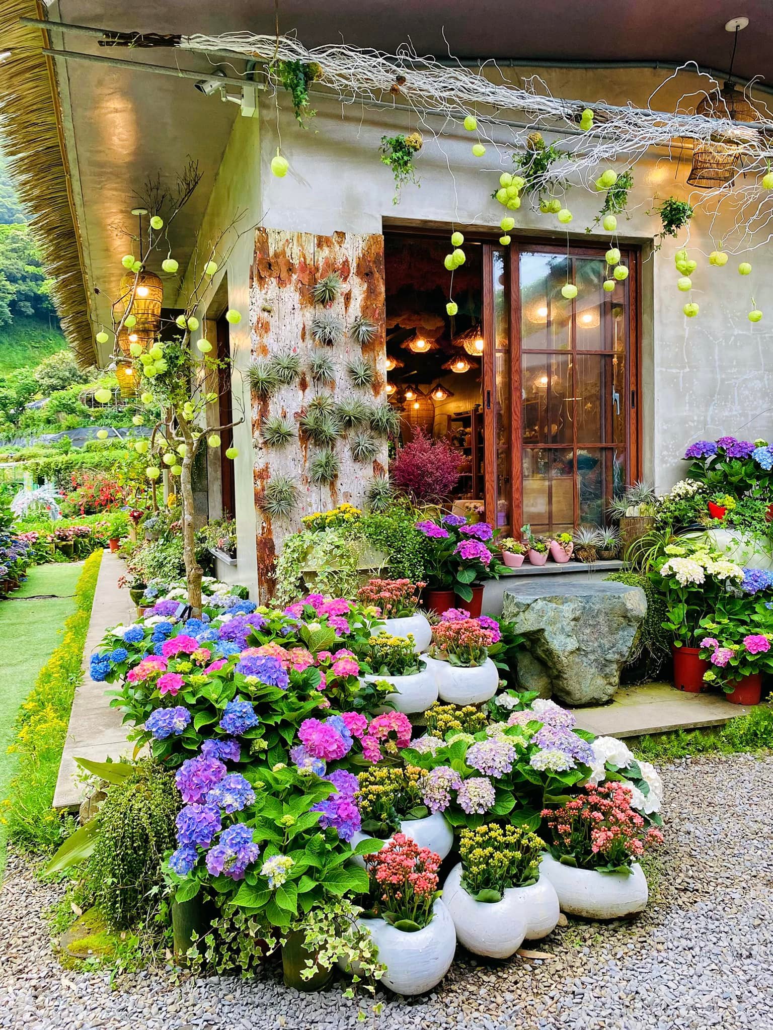 曹家花田香的小屋花牆前是「必拍景點」，屋內還有手作的多款夢幻乾燥花束